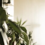 resized_308294